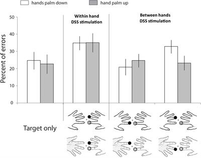 A Conceptual Model of Tactile Processing across Body Features of Size, Shape, Side, and Spatial Location